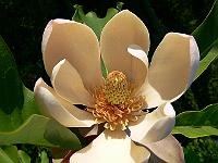 01-06-2007_18-06-25_46