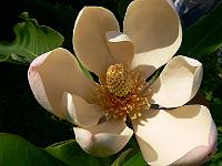 01-06-2007_18-07-12_55
