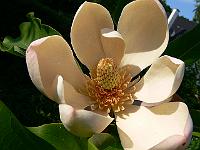 01-06-2007_18-08-11_69