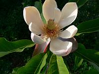 01-06-2007_18-38-42_12