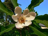 01-06-2007_18-40-29_39