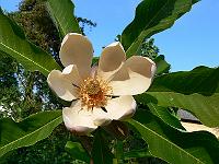 01-06-2007_18-40-36_41
