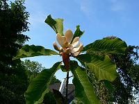 01-06-2007_18-42-30_71