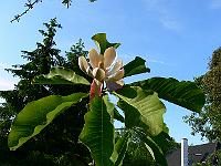 01-06-2007_18-43-04_80