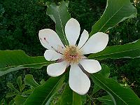 01-06-2007_20-19-22_18