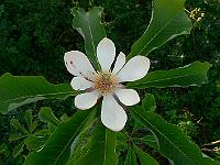 01-06-2007_20-19-30_22