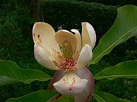 02-06-2007_11-15-13_07