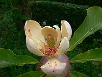 02-06-2007_11-15-21_09