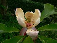 02-06-2007_11-15-35_13