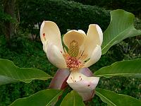 02-06-2007_11-15-40_15