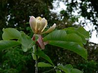 02-06-2007_11-16-31_29