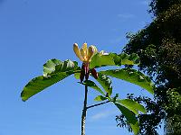 03-06-2007_20-32-01_19