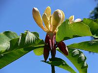 03-06-2007_20-32-24_25