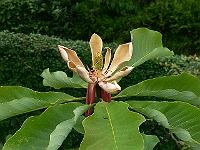 04-06-2007_17-17-40_103