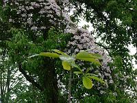 12-05-2007_18-21-24_68