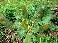 12-05-2007_19-16-35_07