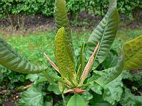 12-05-2007_19-16-46_09