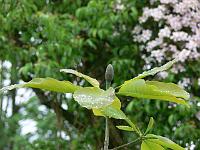 12-05-2007_19-17-31_19