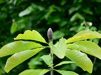 18-05-2007_17-50-45_67