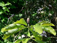 20-05-2007_12-05-14_17
