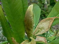2009-05-04_09-36-35_0108