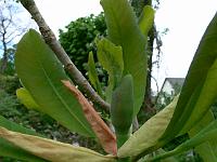 2009-05-04_09-37-07_0110