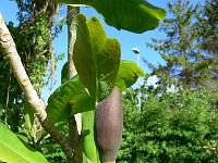2009-05-10_08-27-05_0071