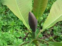 2009-05-14_07-43-58_0076