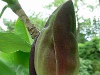 2009-05-24_10-24-46_0148