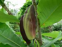 2009-05-24_10-24-59_0151