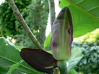 2009-05-24_18-30-43_0003