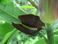 2009-05-24_18-31-52_0005