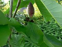 2009-05-24_18-32-21_0009