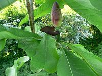 2009-05-24_18-33-05_0013