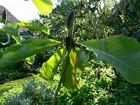 2009-05-25_17-45-32_0016