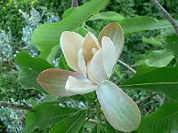 2009-05-29_19-39-28_0084