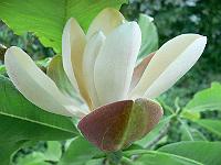 2009-05-29_19-40-16_0090