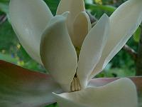2009-05-29_19-40-45_0092