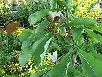 2009-05-29_19-41-32_0100