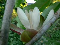 2009-05-29_19-42-50_0112