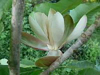 2009-05-29_19-43-06_0115