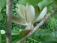 2009-05-29_19-43-17_0118