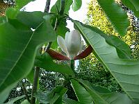 2009-05-29_19-47-01_0136