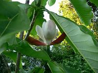 2009-05-29_19-47-09_0139