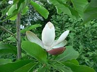 2009-05-29_19-47-18_0142