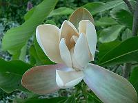 2009-05-29_19-47-47_0145