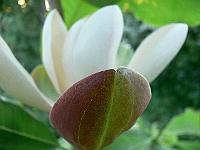 2009-05-29_19-48-18_0151