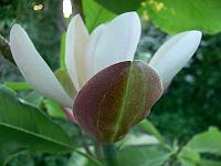 2009-05-29_19-48-31_0155