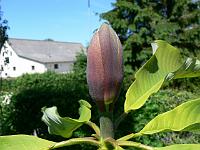 23-05-2007_19-37-39_07