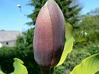 23-05-2007_19-37-51_10